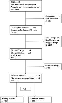 A nomogram prediction model for lymph node metastasis risk after neoadjuvant chemoradiotherapy in rectal cancer patients based on SEER database